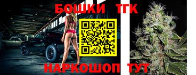 индика Будённовск