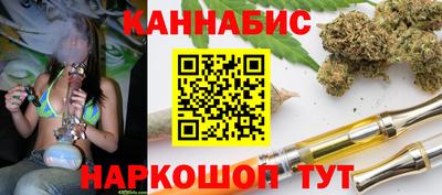 индика Будённовск