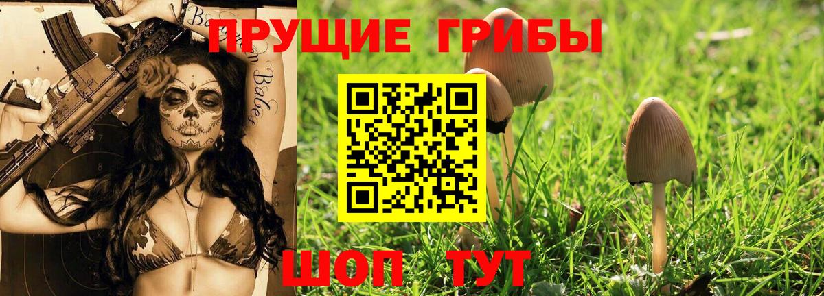 Омск  Галлюциногенные грибы Psilocybe  Вход с VPN 